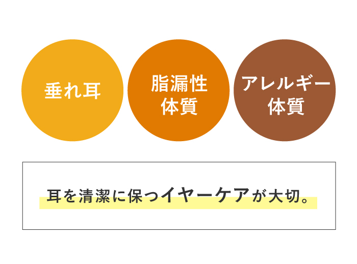 特にイヤーケアが必要な犬種